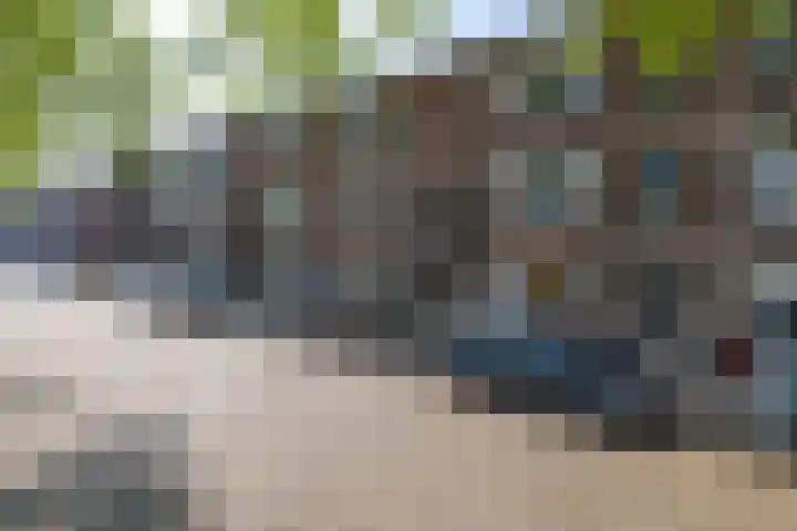 dr. Abraham Kuyperstraat 77 Vlaardingen thumbnail 18