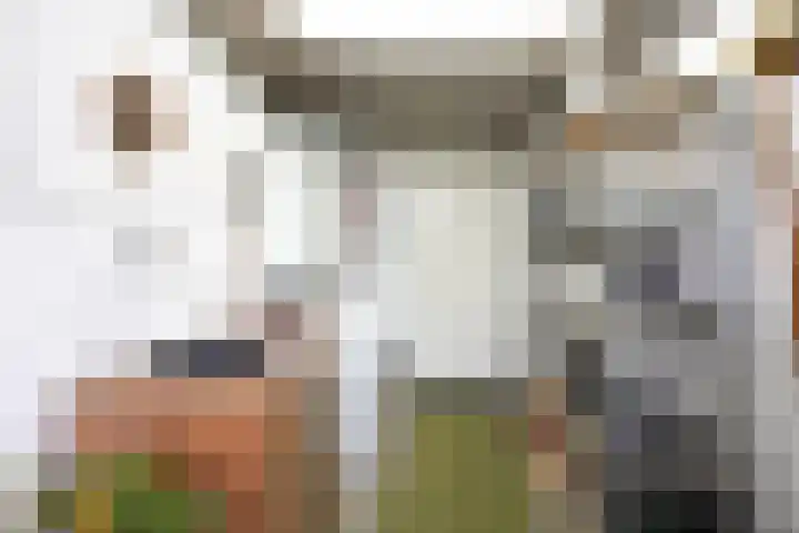 Dr. Ackensweg 38 Gulpen thumbnail 20