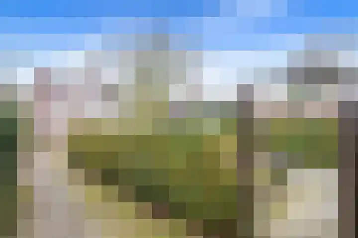 Dr. Ackensweg 38 Gulpen thumbnail 26