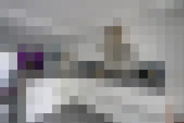 Dr. Ahaushof 146 Tilburg thumbnail 13