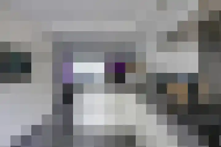 Dr. Ahaushof 146 Tilburg thumbnail 15
