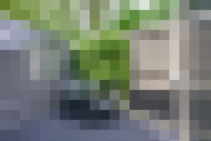 Dr. Ahaushof 146 Tilburg thumbnail 19