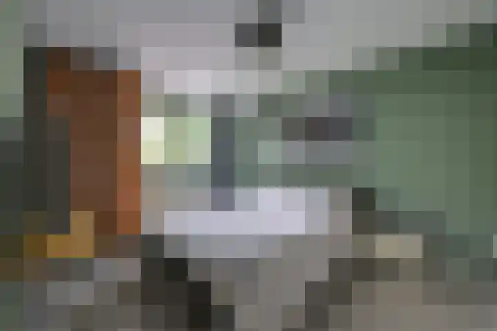 Dr. Ahaushof 146 Tilburg thumbnail 21