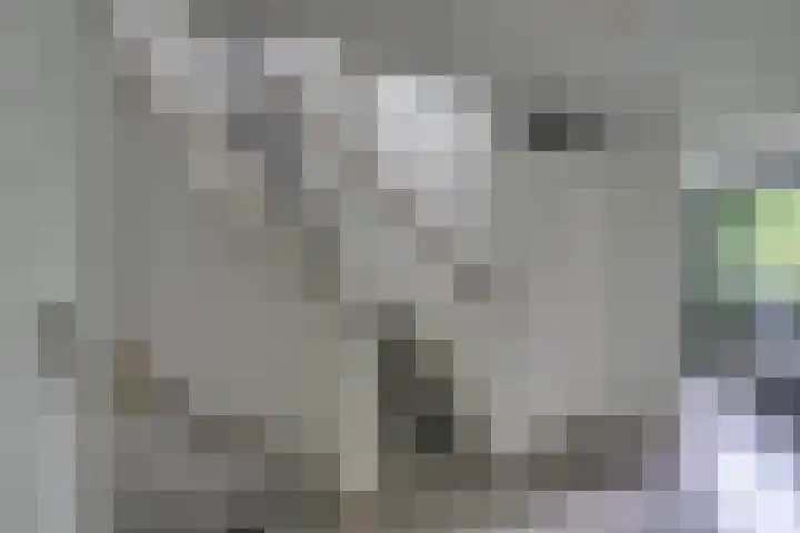 Dr. Ahaushof 146 Tilburg thumbnail 31