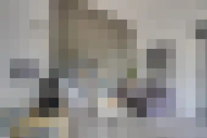 Dr. Ahaushof 146 Tilburg thumbnail 33