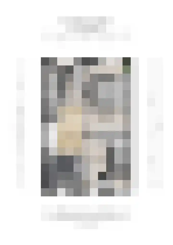 Dr. Ahaushof 146 Tilburg thumbnail 43