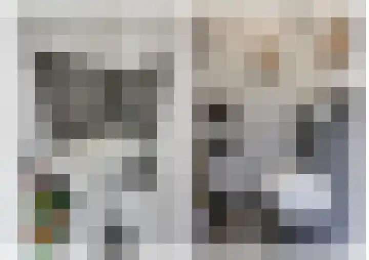 Dr. Ahaushof 146 Tilburg thumbnail 5