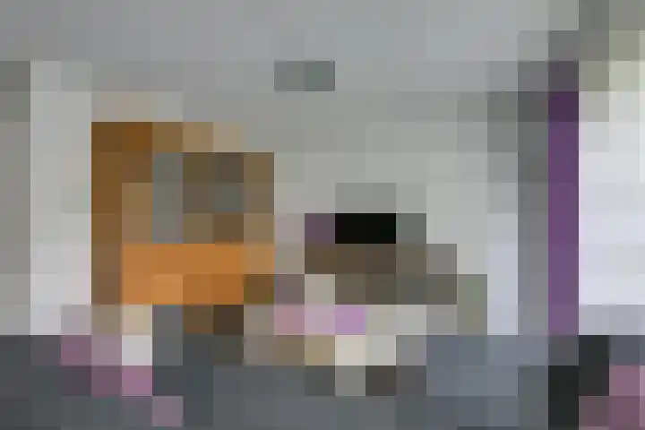 Dr. Ahaushof 146 Tilburg thumbnail 6
