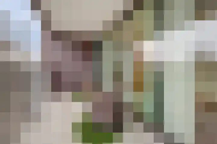 Dr. Ahaushof 15 Tilburg thumbnail 13