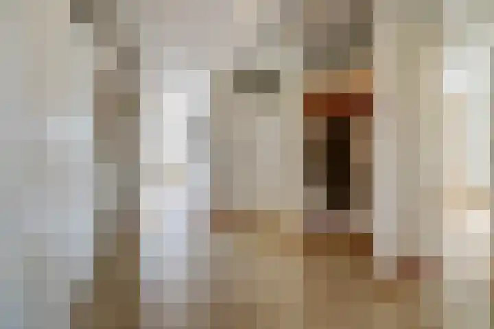 Dr. Ahaushof 15 Tilburg thumbnail 14