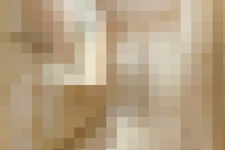 Dr. Ahaushof 15 Tilburg thumbnail 21