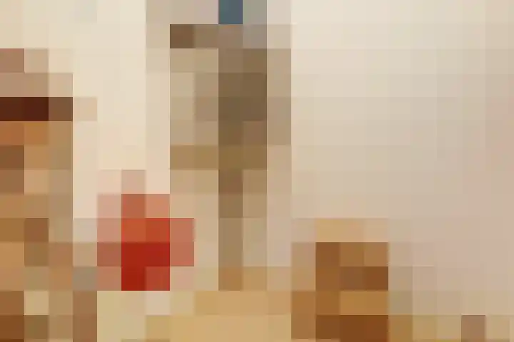 Dr. Ahaushof 15 Tilburg thumbnail 23