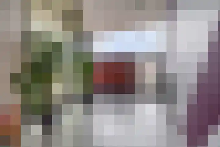Dr. Ahaushof 15 Tilburg thumbnail 28