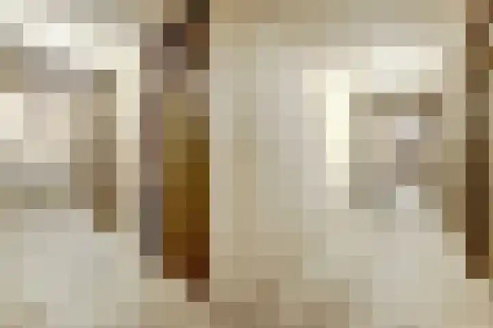 Dr. Ahaushof 15 Tilburg thumbnail 29