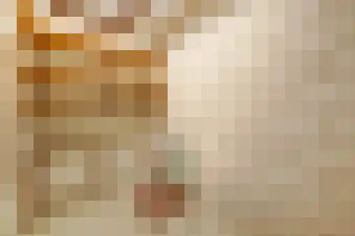 Dr. Ahaushof 15 Tilburg thumbnail 30
