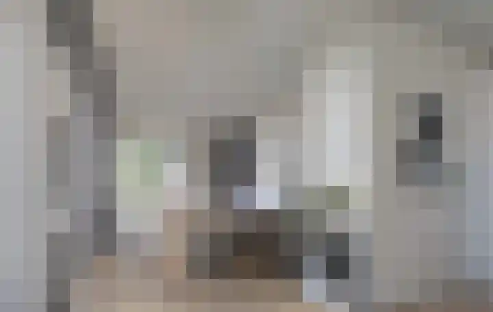 Dr. Ahaushof 15 Tilburg thumbnail 8
