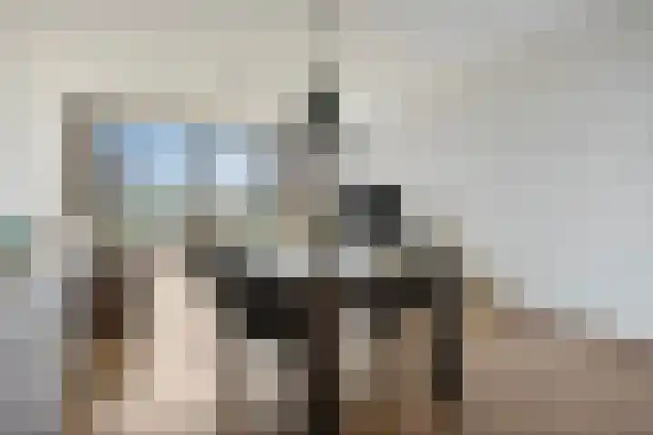 Dr. Ahaushof 34 Tilburg thumbnail 12