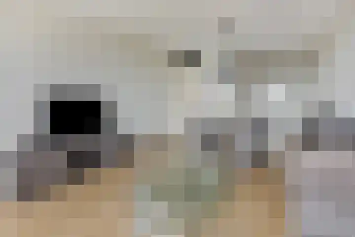 Dr. Ahaushof 34 Tilburg thumbnail 15