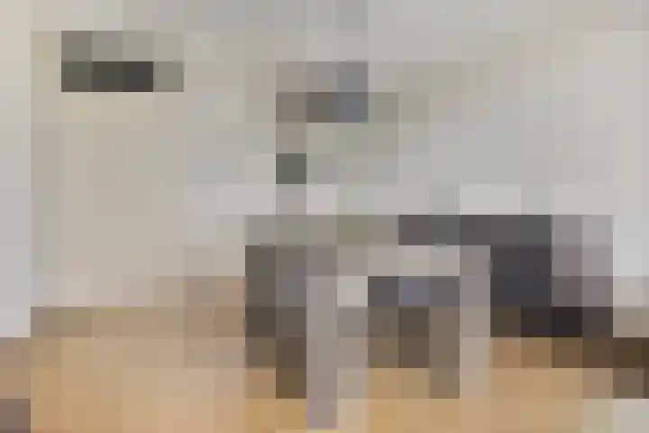Dr. Ahaushof 34 Tilburg thumbnail 17