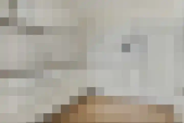 Dr. Ahaushof 34 Tilburg thumbnail 18