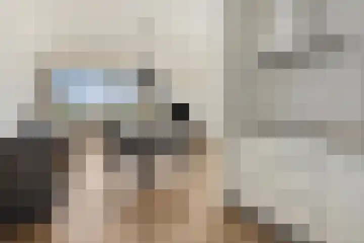 Dr. Ahaushof 34 Tilburg thumbnail 19