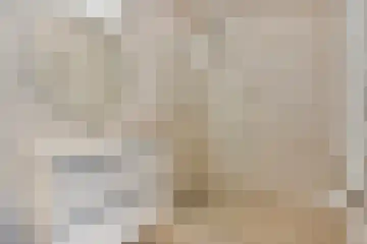 Dr. Ahaushof 34 Tilburg thumbnail 22
