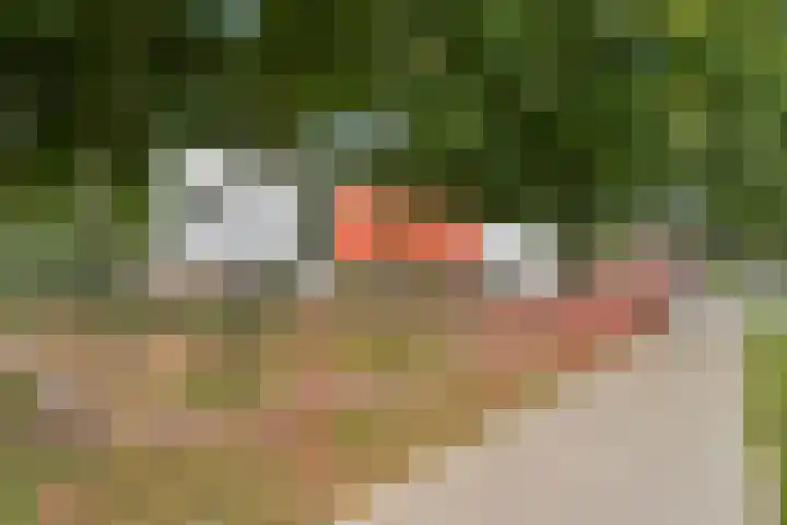 Dr. Ahaushof 34 Tilburg thumbnail 30