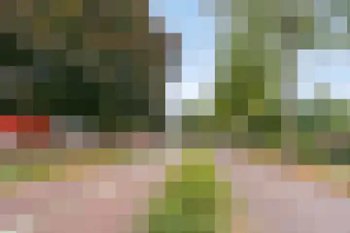 Dr. Ahaushof 34 Tilburg thumbnail 31