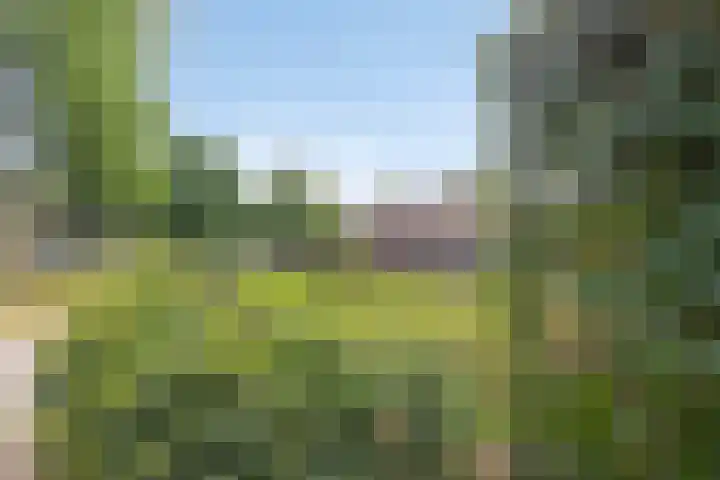 Dr. Ahaushof 34 Tilburg thumbnail 33