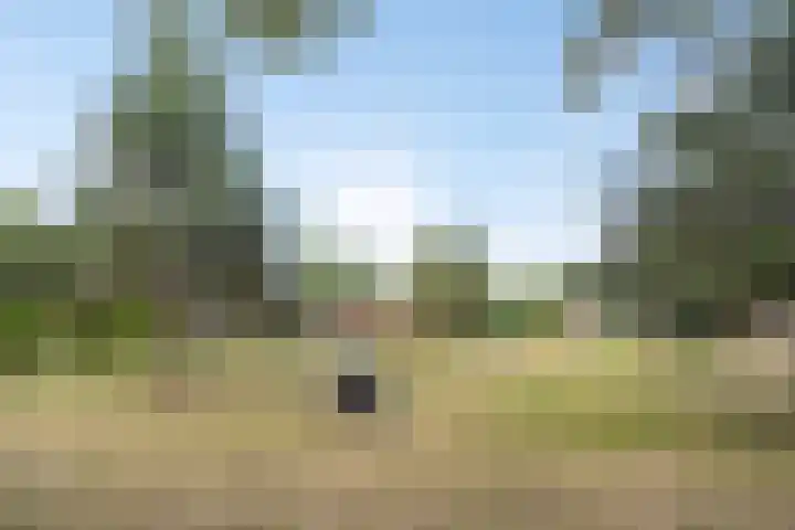 Dr. Ahaushof 34 Tilburg thumbnail 34