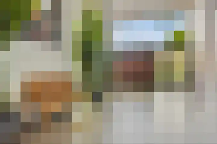 Dr. Ahaushof 34 Tilburg thumbnail 6