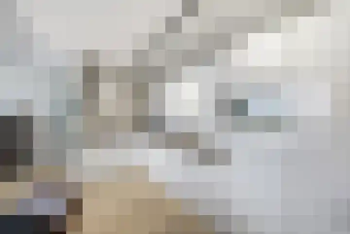 Dr. Ahaushof 36 Tilburg thumbnail 10