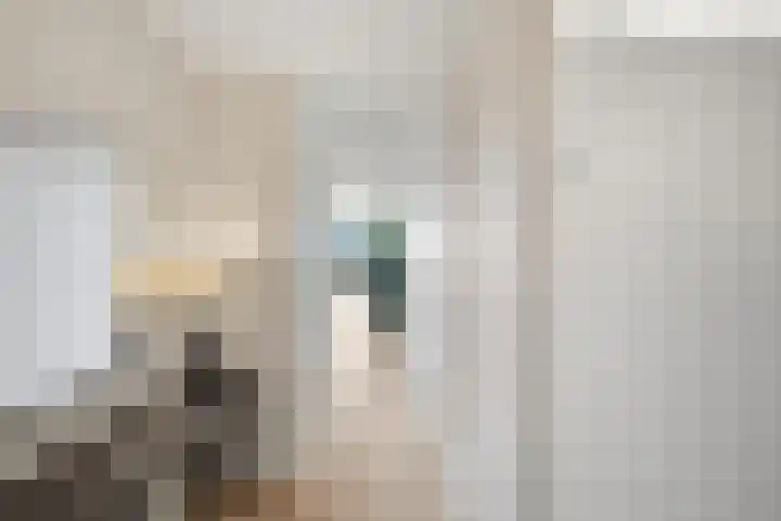 Dr. Ahaushof 36 Tilburg thumbnail 13