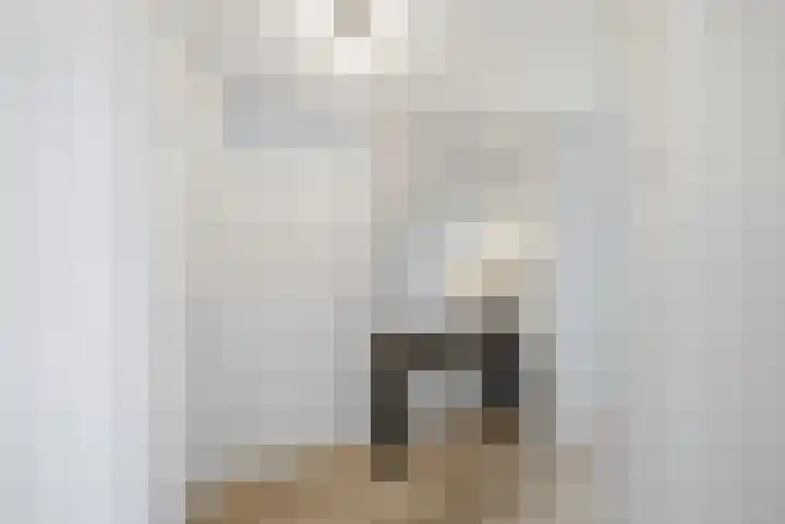 Dr. Ahaushof 36 Tilburg thumbnail 17