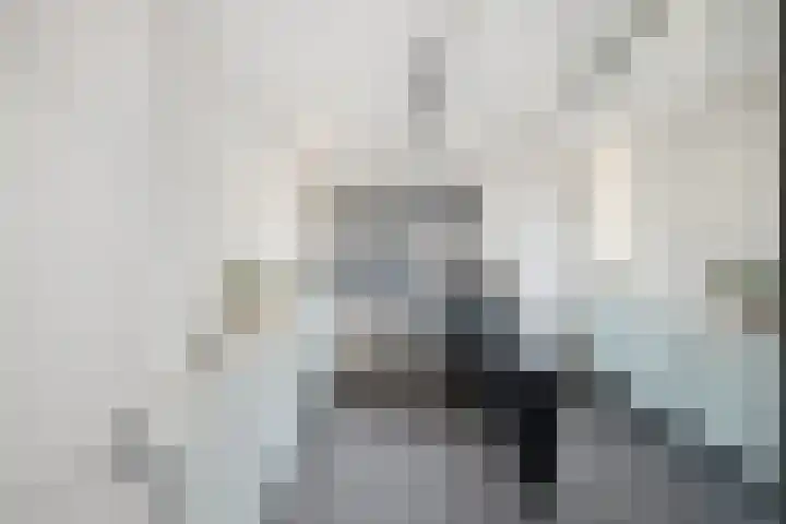 Dr. Ahaushof 36 Tilburg thumbnail 19