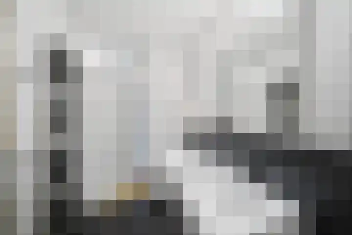 Dr. Ahaushof 36 Tilburg thumbnail 22
