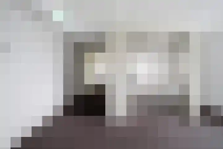 Dr. Ahaushof 36 Tilburg thumbnail 24
