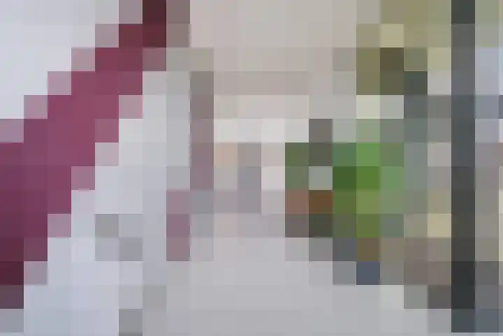 Dr. Ahaushof 36 Tilburg thumbnail 26