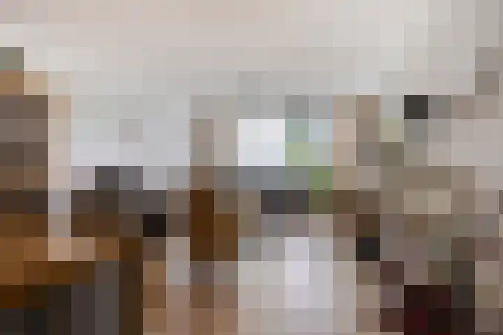 Dr. Ahaushof 49 Tilburg thumbnail 15