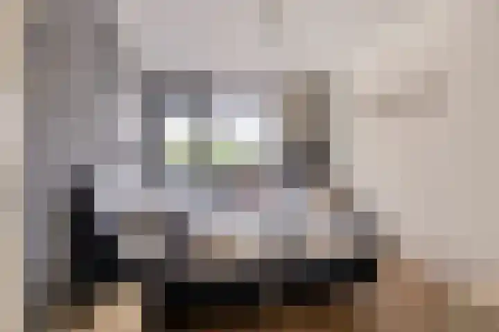 Dr. Ahaushof 49 Tilburg thumbnail 20