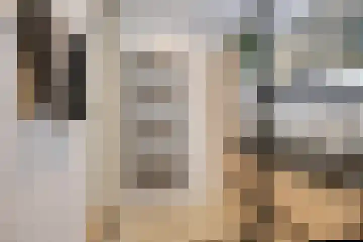 Dr. Ahaushof 49 Tilburg thumbnail 21