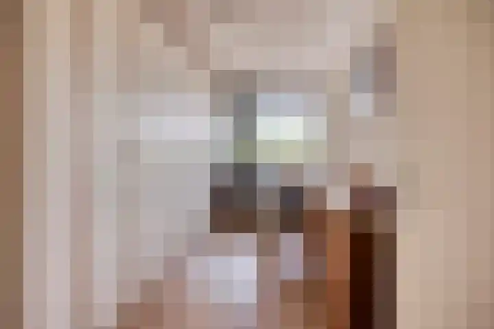 Dr. Ahaushof 49 Tilburg thumbnail 23