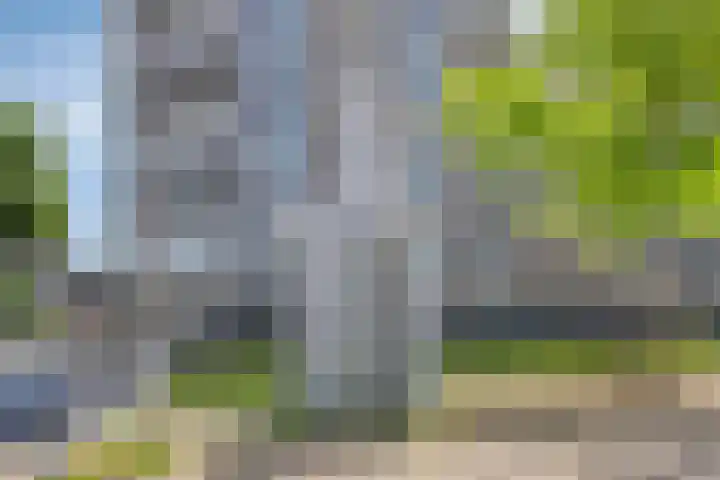 Dr. Ahaushof 49 Tilburg thumbnail 26
