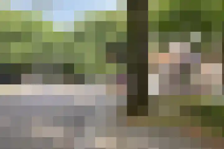 Dr. Ahaushof 49 Tilburg thumbnail 27