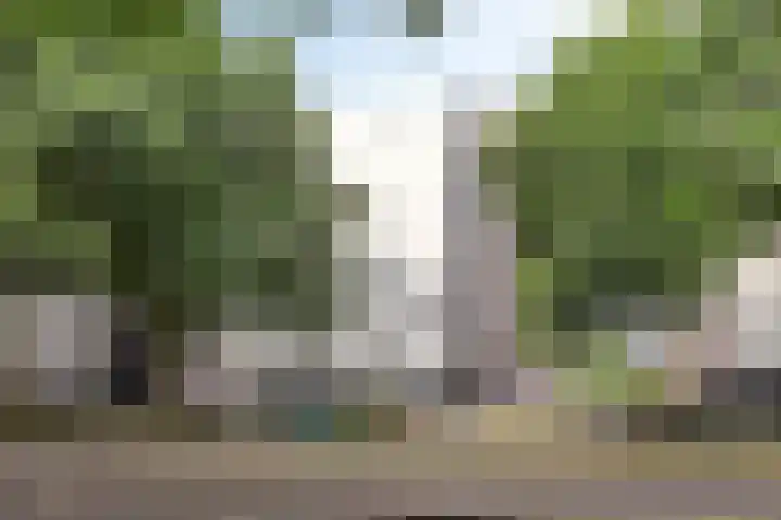 Dr. Ahaushof 49 Tilburg thumbnail 32