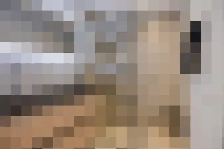 Dr. Ahaushof 49 Tilburg thumbnail 5