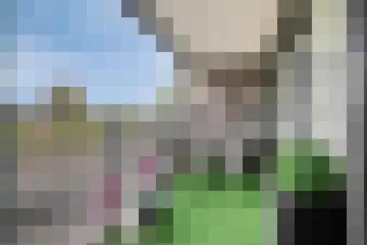 Dr. Ahaushof 49 Tilburg thumbnail 6