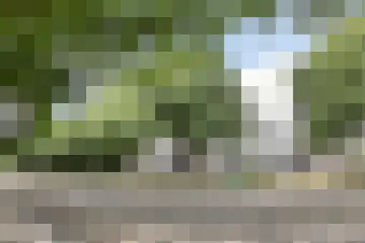 Dr. Ahaushof 49 Tilburg thumbnail 7