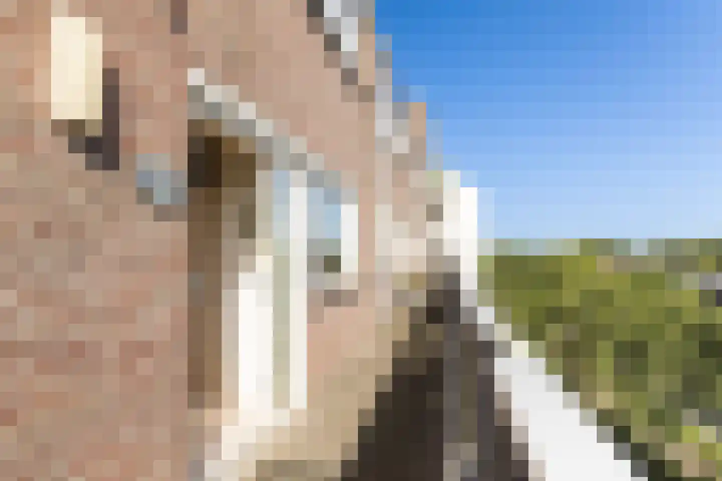 Dr. Albert Schweitzerdreef 121 Maassluis thumbnail 11
