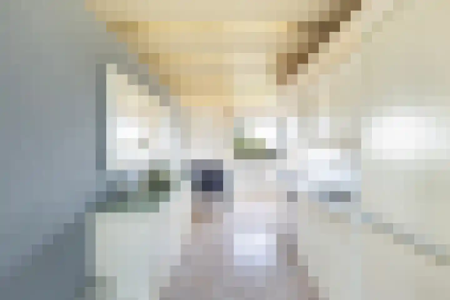 Dr. Albert Schweitzerdreef 121 Maassluis thumbnail 19
